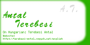 antal terebesi business card